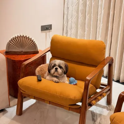 Our little pooch has officially approved the new 'Marshmallow' Armchair. This piece is made from solid Ashwood with a textured mustard suede fabric and supportive leather straps, making it as comfortable as it is stylish.