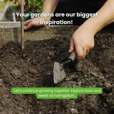 Your gardens are our biggest inspiration. Seeing you dig in the dirt and grow your own food motivates us to continue providing the best tools and seeds possible.