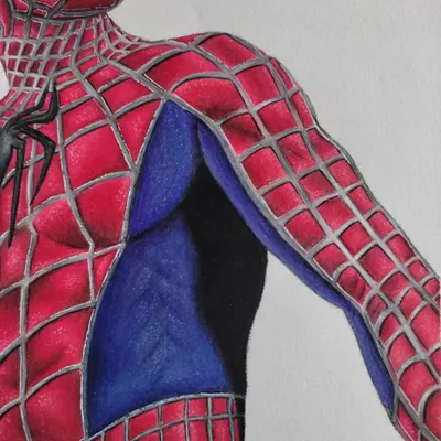 A close-up of the finished Spider-Man illustration, focusing on the muscle definition and the texture of the suit. This piece took 12 hours using a mix of Derwent and Prismacolor pencils.