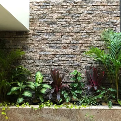This basement planter is a testament to choosing the right plant for the right place. We used a mix of low light tolerant foliage plants, including Cordyline and Dieffenbachia, to create a vibrant garden that thrives with only light from a skylight.