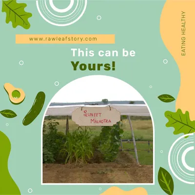 This can be your family's own green space at our farm in Gurugram. We put your name on it because we want you to feel a real sense of ownership and pride as you watch your organic vegetables grow.