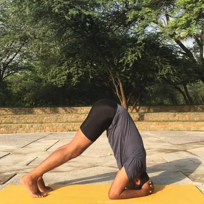 The first step is building shoulder and core strength with Dolphin Pose. Pressing the forearms down and lifting the hips up prepares the upper body for the work of an inversion and teaches proper shoulder engagement.