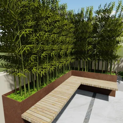 This design demonstrates a practical and elegant solution for creating privacy and greenery on a balcony or terrace. A row of tall bamboo in a slim planter forms a natural screen, complemented by an integrated L-shaped wooden bench for seating.