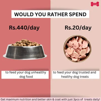 Would you rather spend a little on healthy, trusted treats or a lot on unhealthy commercial food? My treats provide maximum nutrition with real ingredients, helping to improve skin and coat for just a fraction of the cost.