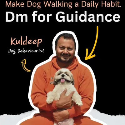 As a dog behaviorist, I always emphasize making a daily structured walk a habit. It's the foundation for a calm and happy dog. Here I am with a happy Shih Tzu, ready for our walk.