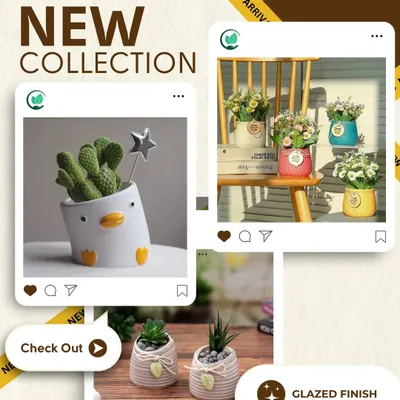 Our new collection of premium ceramic pots, featuring a quirky duck-shaped planter, colorful wall-hanging pots, and textured pots with a glazed finish.