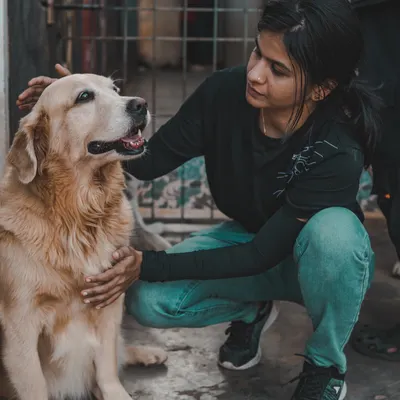 A quiet moment of connection. I make sure to spend one-on-one time with the dogs, giving them the comfort and reassurance they need to feel at home.