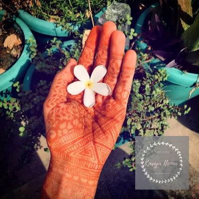 This is the beautiful, rich reddish-brown color of a mature henna stain, 48 hours after the paste has been removed. I use only natural henna, which ensures this deep, earthy color without any chemicals.