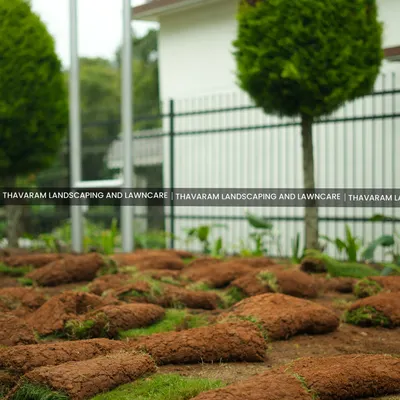 The foundation of a great lawn. Here, my team is carefully laying fresh rolls of sod, a process that provides instant greenery and a healthy start for a new landscape.