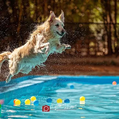 Capturing pure joy and energy is what I live for. This shot of Ginie mid-flight into a pool shows my ability to freeze the perfect moment during on-location action shoots.