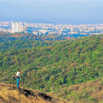 This is the stark, beautiful contrast of Mumbai's Sanjay Gandhi National Park. I stand on a ridge overlooking the dense forest, with the sprawling city in the background. It is a powerful reminder of why we must protect these urban wildernesses.