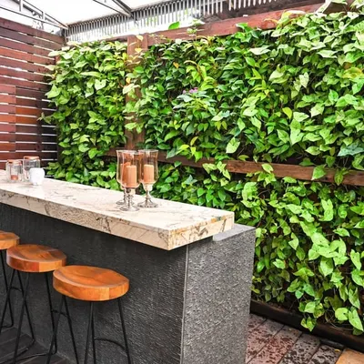 A closer look at the residential villa's bar area, highlighting the texture and density of the living wall. The wood framing adds a warm, natural touch, seamlessly blending the installation with the outdoor furniture and deck.