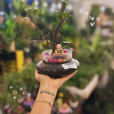 A unique terrarium featuring a ZZ plant and a small monk figurine. The two-tiered glass planter creates an interesting visual effect.
