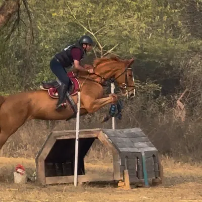 A rider and horse in perfect form over a cross-country 'house' jump. Our eventing training prepares combinations for the challenges of FEI-level courses.