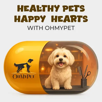 Healthy pets and happy hearts are what we're all about. This is our promise to you, delivered through grooming essentials that keep your furry friends feeling their absolute best.
