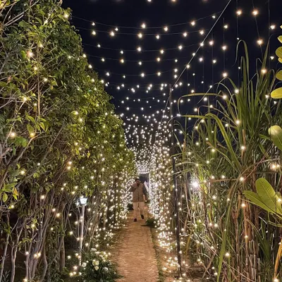 This magical tunnel of fairy lights is one of my favorite features at the farm. It creates an unforgettable entrance for evening events like sundowners and dinner parties.