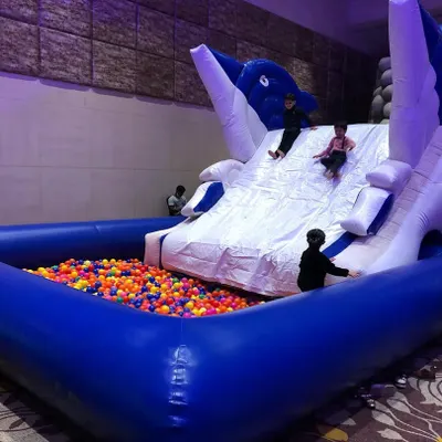 Our inflatable Dolphin Slide with an integrated ball pit is a major attraction for any event. Children can safely climb the inflatable structure and slide down into a large, soft landing area filled with thousands of colorful balls.