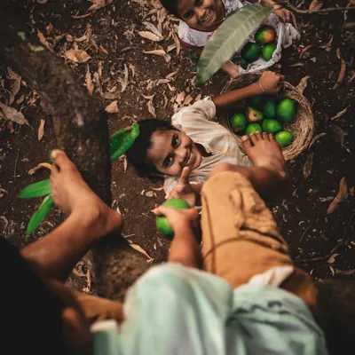 The joy of childhood summers in a single frame. This overhead shot captures two smiling girls with their basket of freshly picked mangoes, telling a story of innocence and simple pleasures.