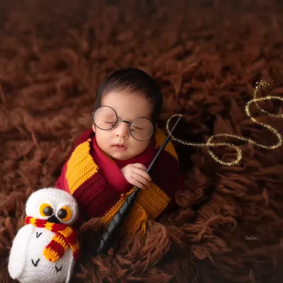 Our littlest wizard, complete with a wand and his trusty owl Hedwig. This Harry Potter theme is a favorite for fans, and I have all the props to make it magical.