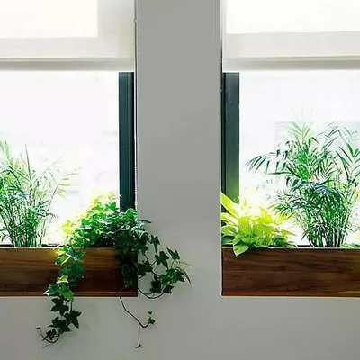 A window can be a perfect frame for a miniature garden. We created these beautiful wooden window boxes and filled them with a mix of upright and trailing plants to bring life and fresh air right into the room.