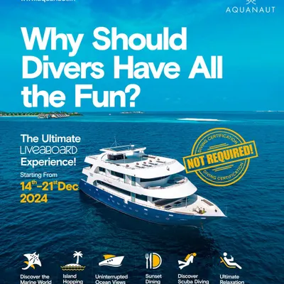 Why should divers have all the fun? This trip is specially designed for non-divers, focusing on snorkeling, island hopping, sunset dining, and ultimate relaxation.