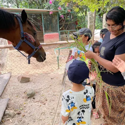 Direct interaction with animals fosters empathy and respect for life. During our field trip to Prani, The Pet Sanctuary, children had the opportunity to feed a horse, learning about its diet and gentle nature firsthand.