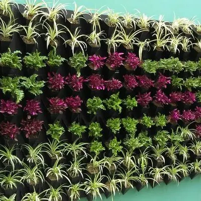 This vertical garden features a clear striped pattern, alternating between green, purple, and white-leafed plants. This is a simple yet effective way to create a custom design.