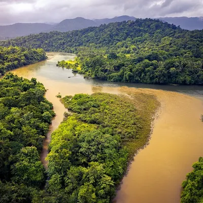 The Sharavathi river flowing through the Western Ghats. The monsoon turns the landscape into a vibrant green, with the muddy river carving its path through the forest.