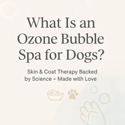 This is the core of my therapeutic services: the Ozone Bubble Spa. It's more than a bath; it's science-backed skin and coat therapy delivered with a gentle touch.