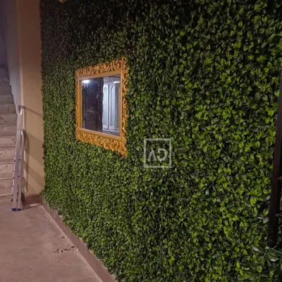 An artificial vertical garden installed on an exterior wall, with a cutout for an ornate gold-framed mirror. This creates a beautiful and surprising feature, blending classic and natural elements.