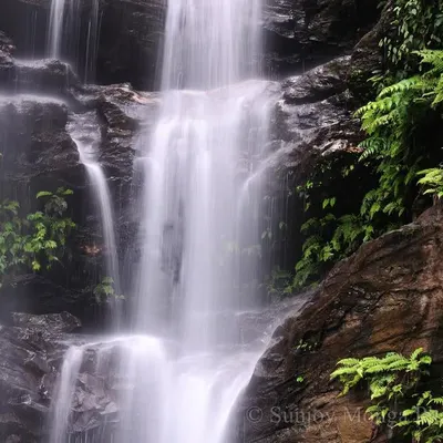 Jal. Paani. Water. My favorite entity. This waterfall, with its soft, flowing form, is a reminder of water's power. Softer than anything you can imagine, yet it moves mountains and chisels valleys. We must respect it.
