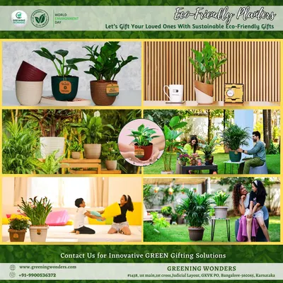 Explore our innovative green gifting solutions. This collage displays a variety of our offerings, from single desk plants in eco-friendly pots to curated sets for homes and offices, perfect for celebrating occasions like World Environment Day or as unique return gifts.