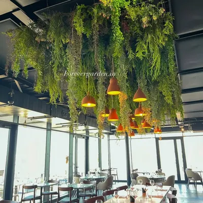 A breathtaking ceiling installation in a restaurant, where a dense canopy of assorted hanging ferns and vines creates an intimate and natural atmosphere over the dining area.