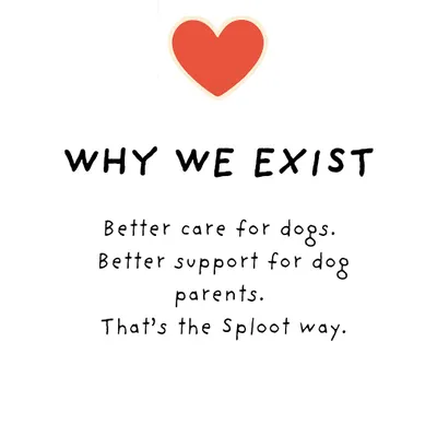 Why do we exist? For better care for dogs, and better support for dog parents. That's the Sploot way, plain and simple.