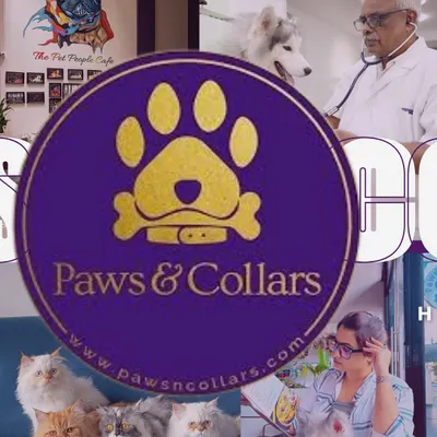 Our integrated ecosystem puts your pet's health first. This collage shows the different facets of our care, from a vet check-up with a husky to a group of happy cats relaxing in our café.