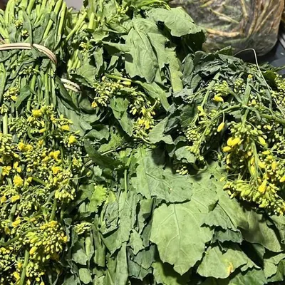 Fresh mustard greens, complete with leaves, stems, and yellow flowers. Every part is edible and contributes to the pungent, peppery flavor of the dish.