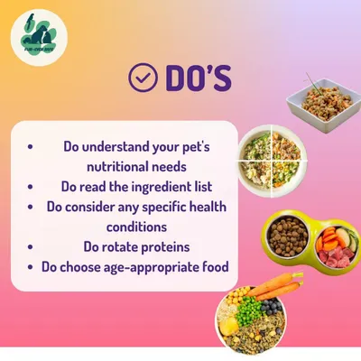 Do you know what's in your pet's food? This guide covers the 'Do's' of choosing the right food, like understanding nutritional needs and reading the ingredient list.
