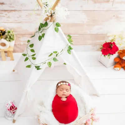 A peaceful newborn sleeps soundly in a basket before a charming teepee adorned with flowers and vines. This setup combines natural elements with a touch of whimsy, perfect for a beautiful and serene portrait.