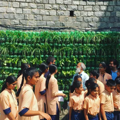 The finished vertical garden at Sanskriti School became a point of celebration for students and teachers. It was a joy to see them interacting with the wall they helped create, learning about sustainability firsthand.