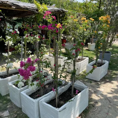 Meet our bestseller: the FRP (Fibre Reinforced Polymer) Planter Box. Lightweight, weather-resistant, and fully customizable in size and color, they are perfect for creating neat and stylish gardens on balconies, terraces, and even indoors.