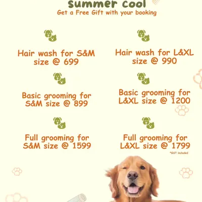 Here are my summer grooming packages. I offer different levels of service for small, medium, large, and extra-large pets, ensuring fair pricing for everyone.