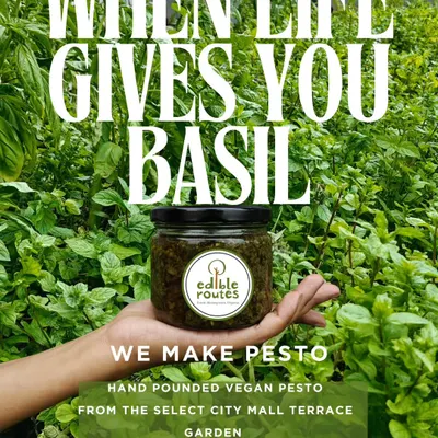 When my farm gives me an abundance of fresh basil, I make this hand-pounded vegan pesto. It’s a simple, flavourful paste made with ingredients grown right on our terrace garden at Select Citywalk.