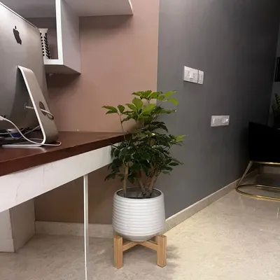 A simple, elegant wooden plant stand designed to elevate a potted plant. This custom piece was made with clean lines to complement a modern home office.