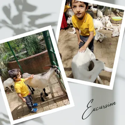 A gentle interaction with a goat at the pet sanctuary. These excursions help children learn empathy and how to be gentle and respectful towards animals.