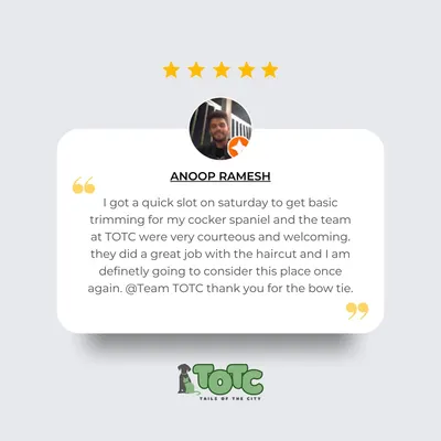 Thank you, Anoop, for your wonderful review! We're so glad you were happy with the haircut for your cocker spaniel and that our team made you feel welcome.