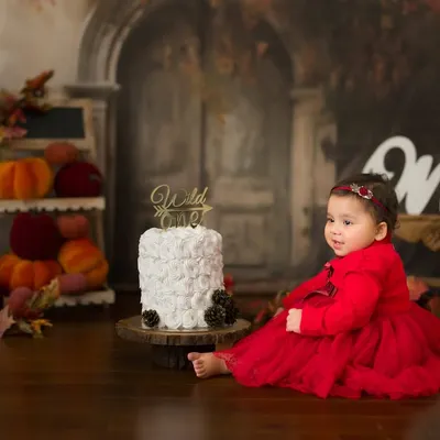 Wild and One! This little girl in a stunning red dress sits beside her first birthday cake in a rustic, autumn-themed setup. A beautiful portrait before the cake smash begins.