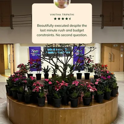 This feedback from a commercial client highlights my ability to deliver a beautiful installation despite last-minute rushes and budget constraints. The project involved creating an impactful floral display for a corporate building's main lobby.