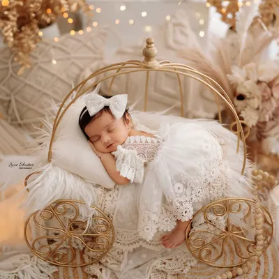A fairytale newborn portrait featuring a sleeping baby in an elegant, lace-adorned dress, resting in a beautiful golden carriage. This setup showcases my love for creating magical, story-like images.