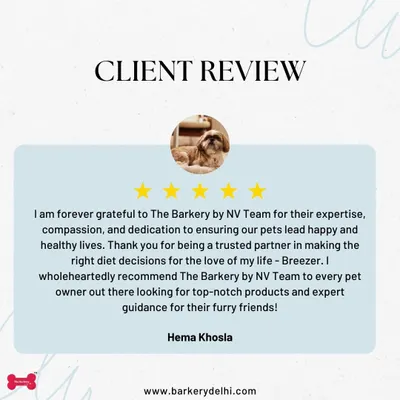 This wonderful review from Hema highlights the trust and partnership I strive to build with every client. My goal is not just to provide food, but to offer expert guidance to help you make the best diet decisions for your furry friend.