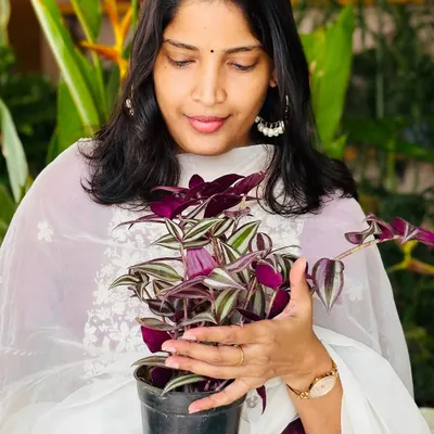 This is me, Keerthi. When you find a plant that matches your dress, you have to take a picture. I'm the owner of this small business, a mom, and a full-time plant lover. With my incredible team, we are navigating the challenges of this industry and loving it.
